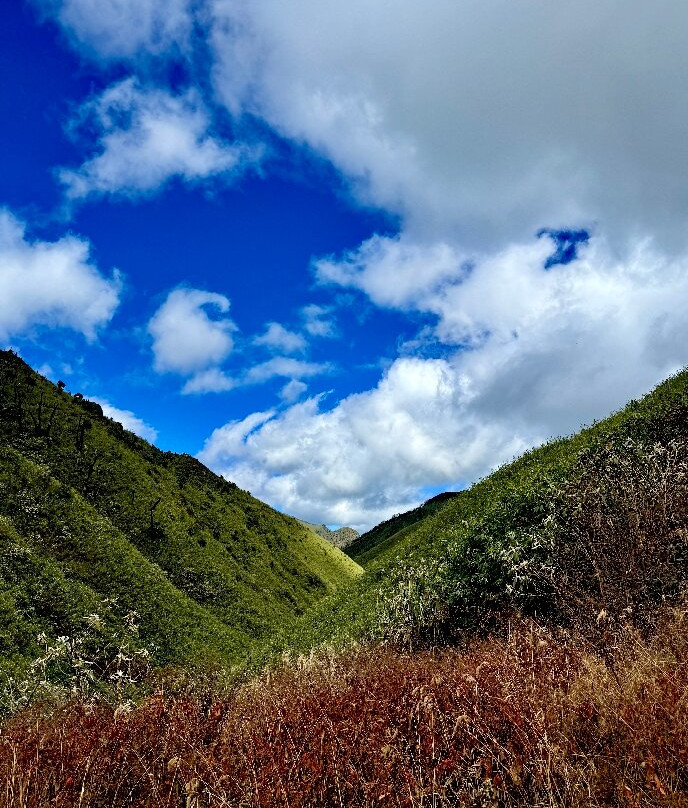 Dzukou Valley-Kohima必去景点
