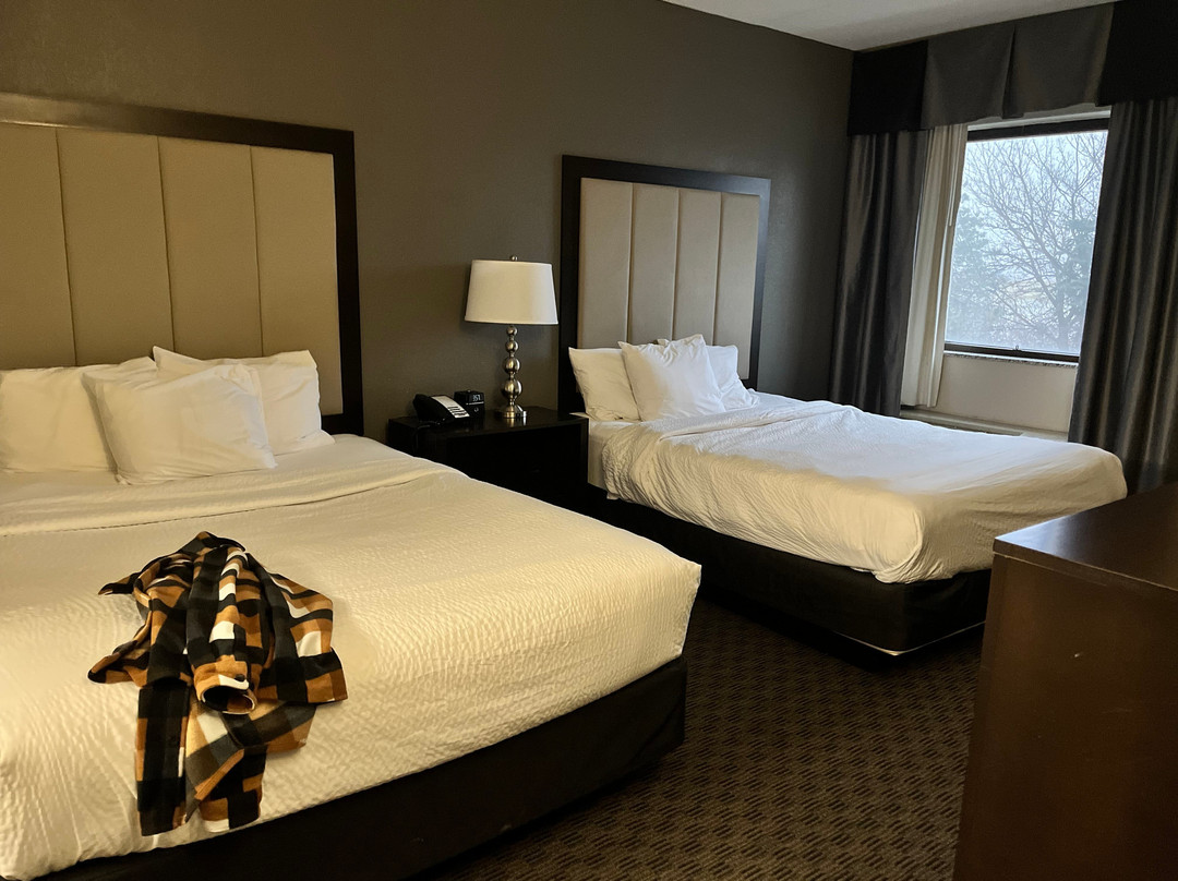 La Quinta Inn & Suites by Wyndham Detroit Metro Airport主图