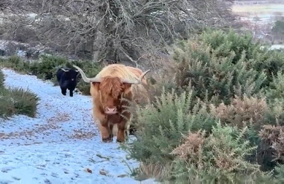 Pentland Hills-爱丁堡必去景点