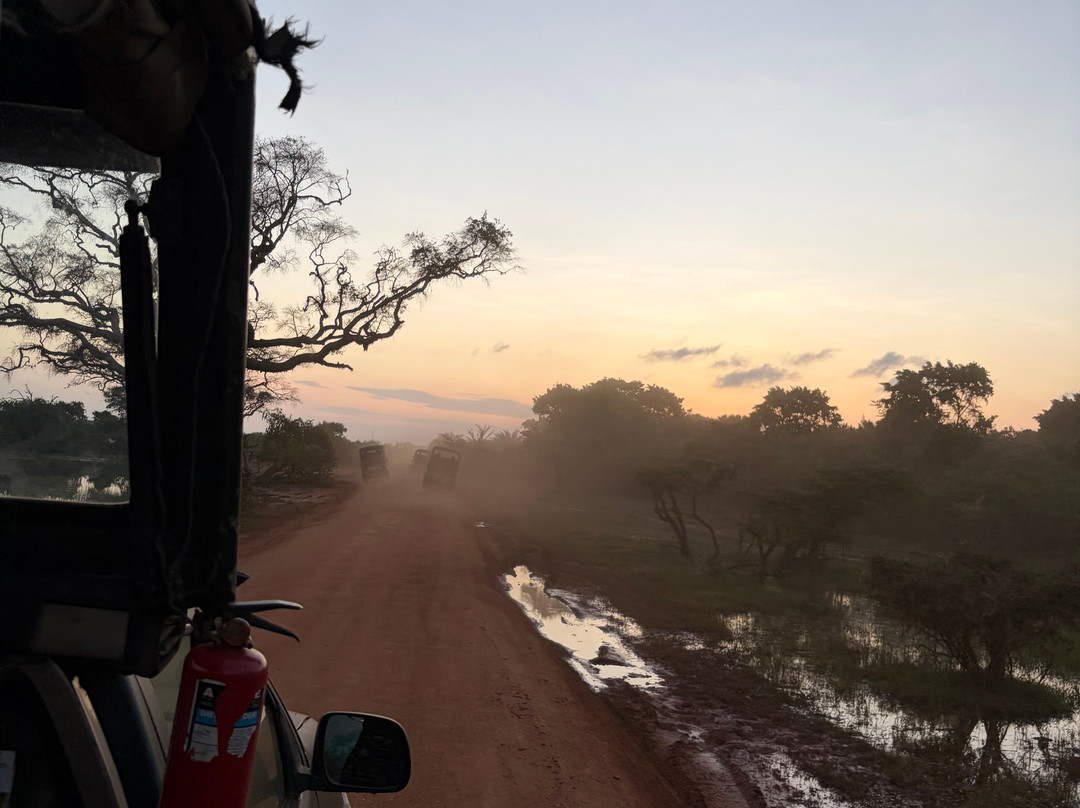 Yala Safari Srilanka-蒂瑟默哈拉默必去景点