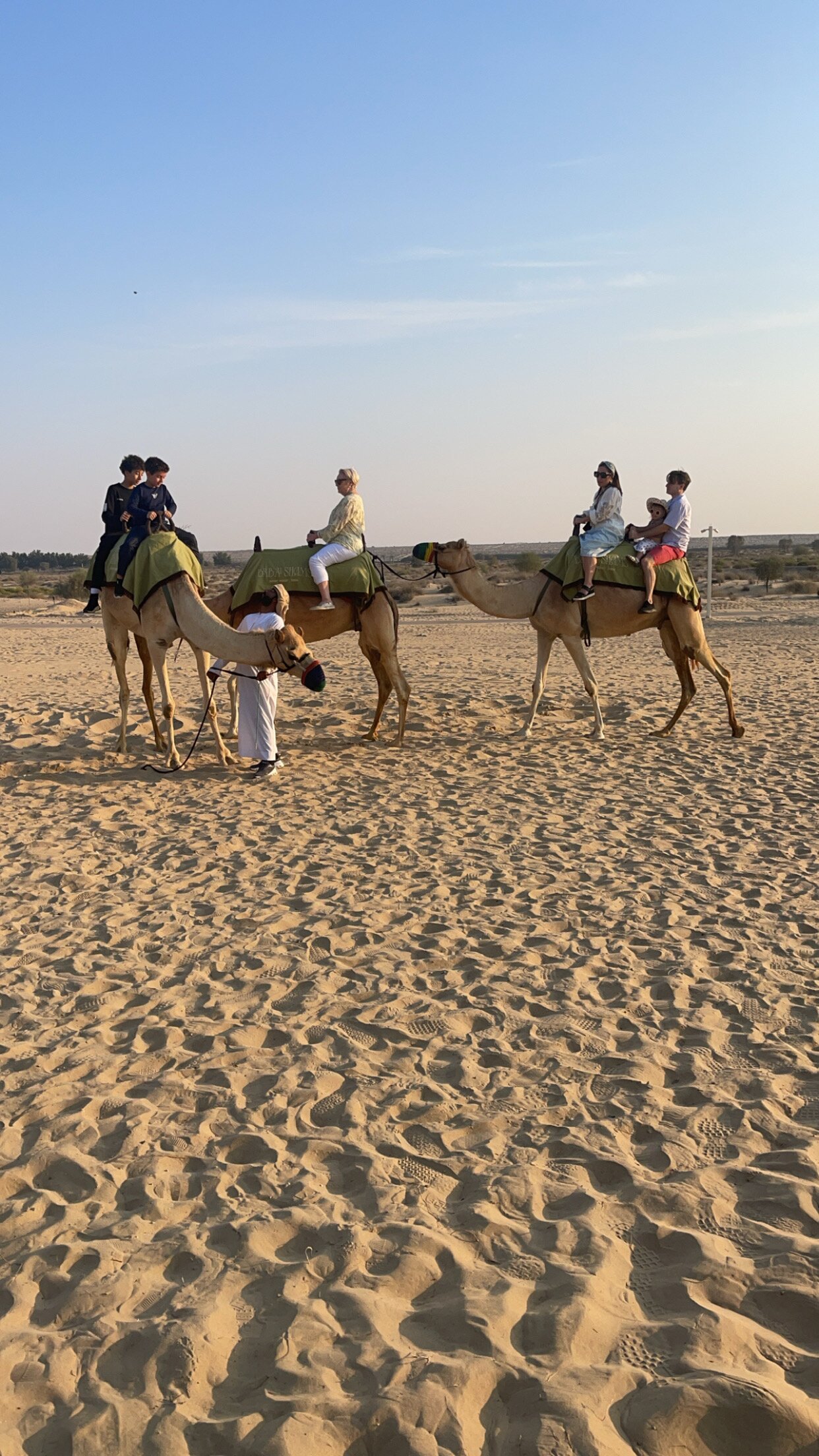巴布铝沙姆斯沙漠度假村-官方