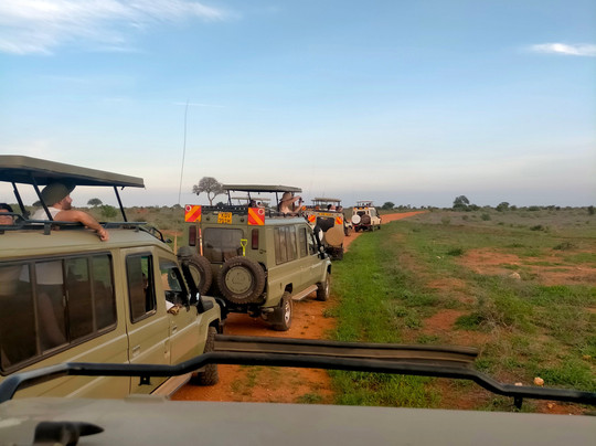 Malik Safari-马林地必去景点