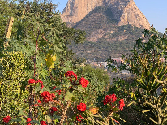 El Cantar del Viento Hotel Boutique主图