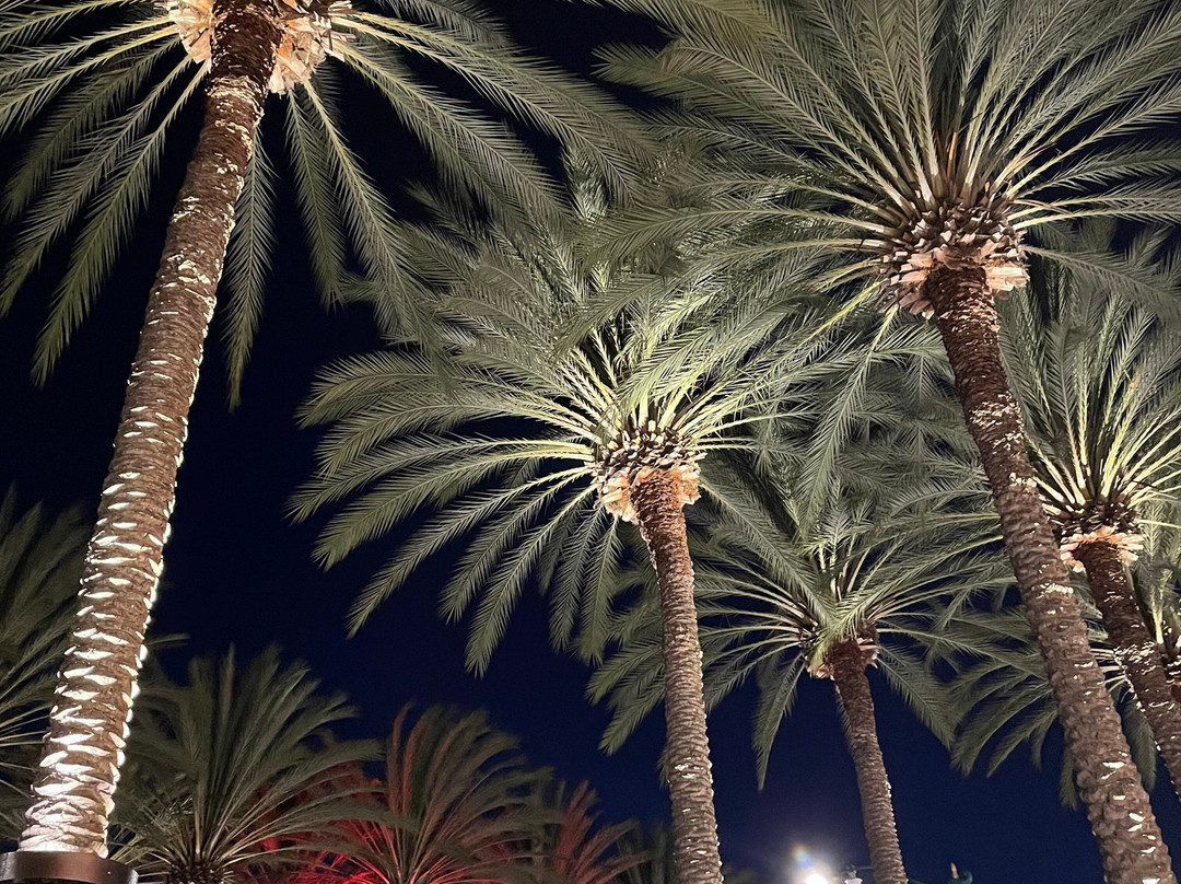 阿纳海姆公园国王酒店及会议中心主图