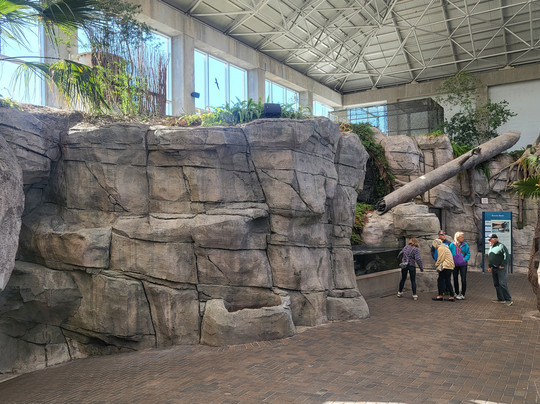 North Carolina Aquarium at Fort Fisher-Kure Beach必去景点