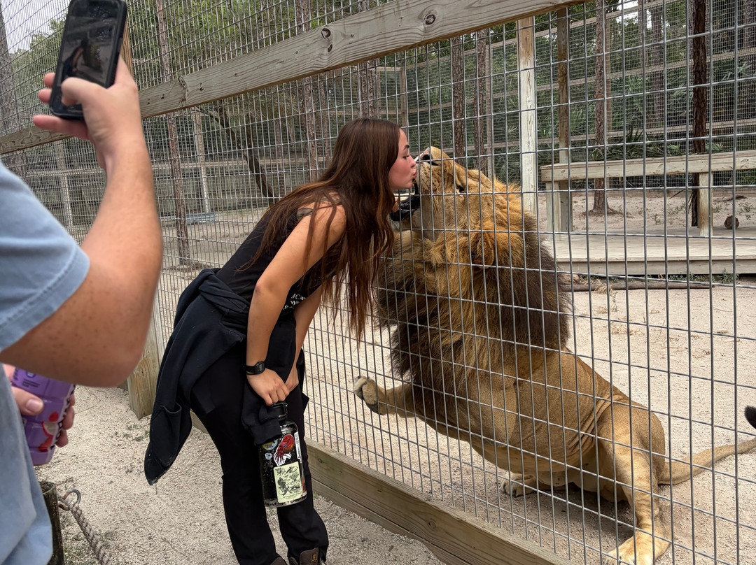McCarthy's Wildlife Sanctuary-西棕榈滩必去景点