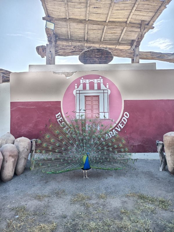 Hotel & Hacienda La Caravedo-官方