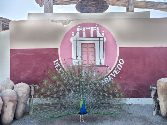 Hotel & Hacienda La Caravedo主图