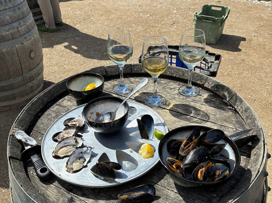 Oyster Bay Tours-科尔斯湾必去景点