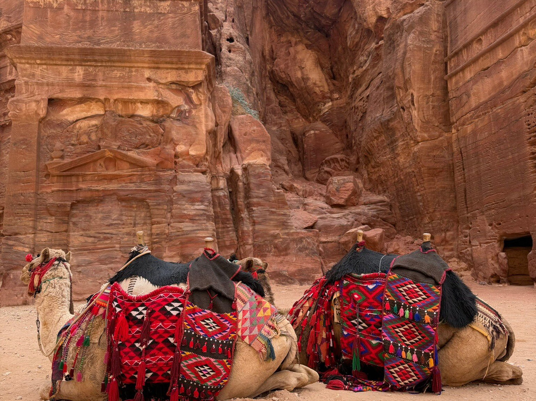 Jordan Inspiration Tours-佩特拉必去景点