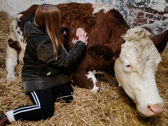 Dumble Farm-比弗利必去景点