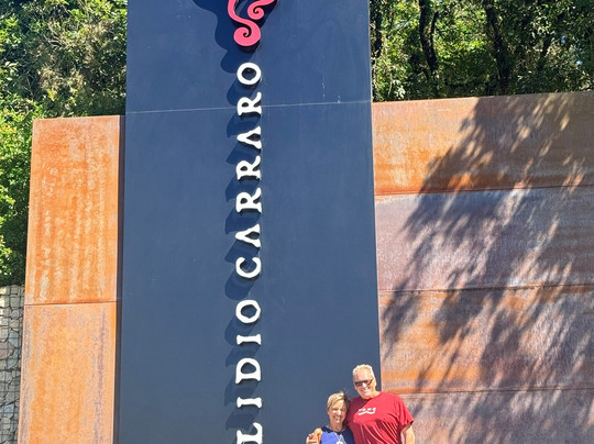 Lidio Carraro Vinícola Boutique-本图贡萨尔维斯必去景点