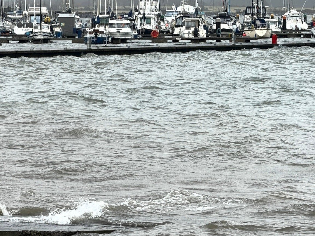 Malahide Marina-马拉海德必去景点