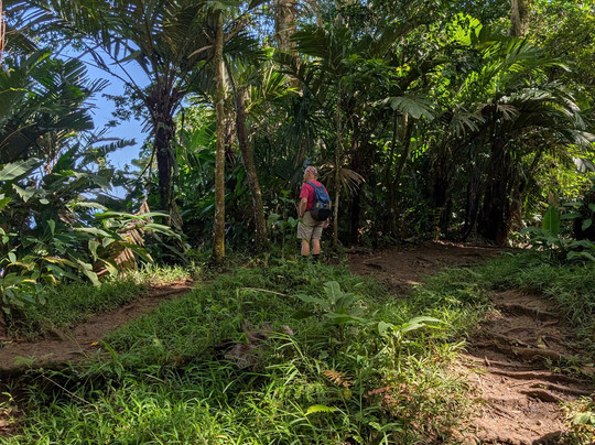 Gandoca - Manzanillo Wildlife Refuge-Province of Limon必去景点