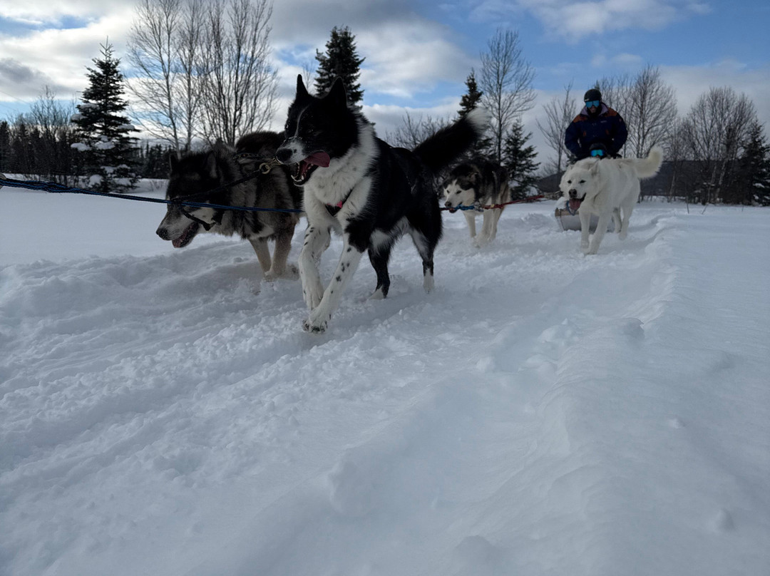 La Reine et le Millionnaire-Baie-St-Paul必去景点