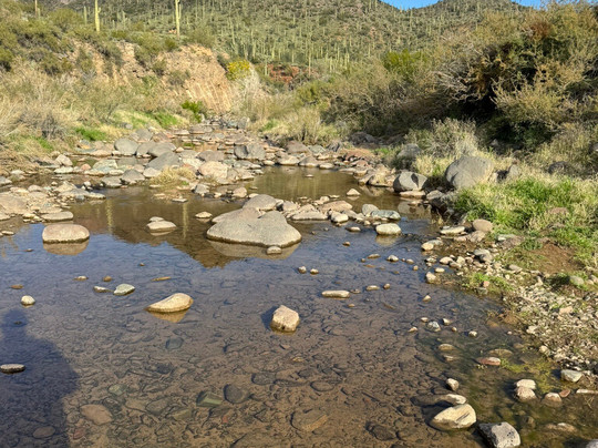 Cave Creek Regional Park-洞溪必去景点