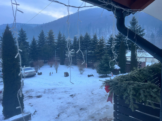 Pensiunea Putnisoara主图