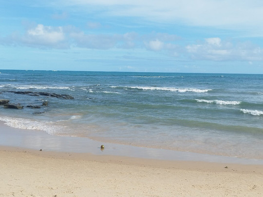 Pitinga Beach-Arraial d'Ajuda必去景点