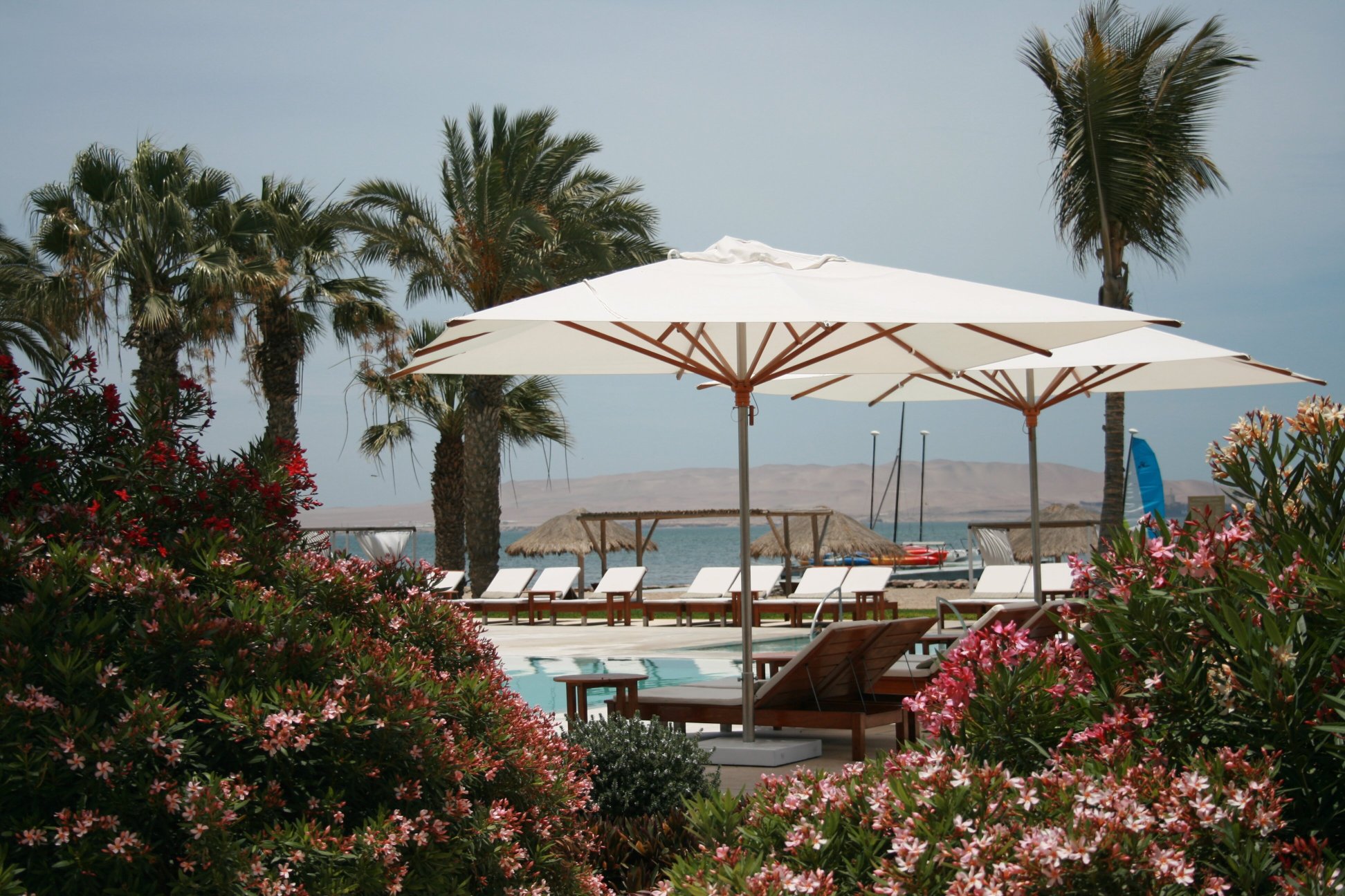 帕拉卡斯豪华精选度假酒店-泳池