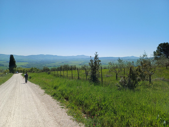 Via Francigena Tappa 36 San Quirico d'Orcia - Radicofani-圣奎里科多尔恰必去景点