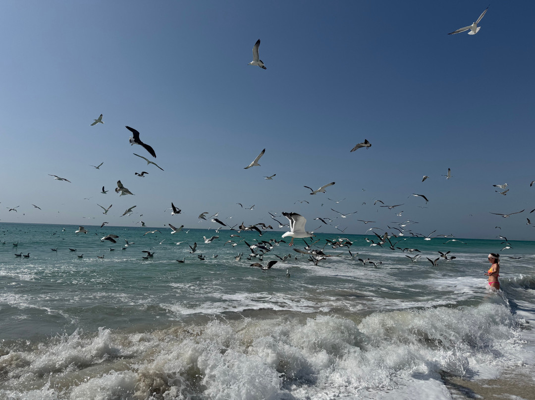 Salalah Gardens Hotel主图