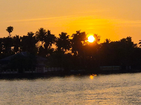 Sunsets and Palm Trees主图