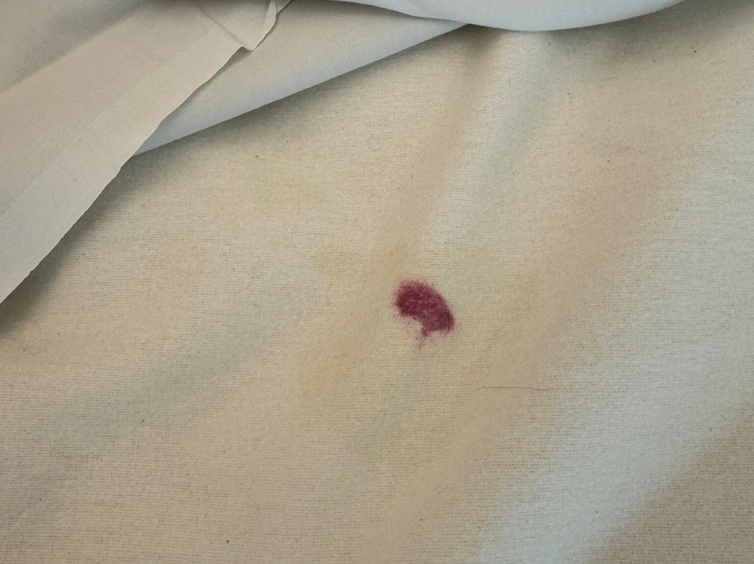 D-reizen-阿姆斯特丹必去景点