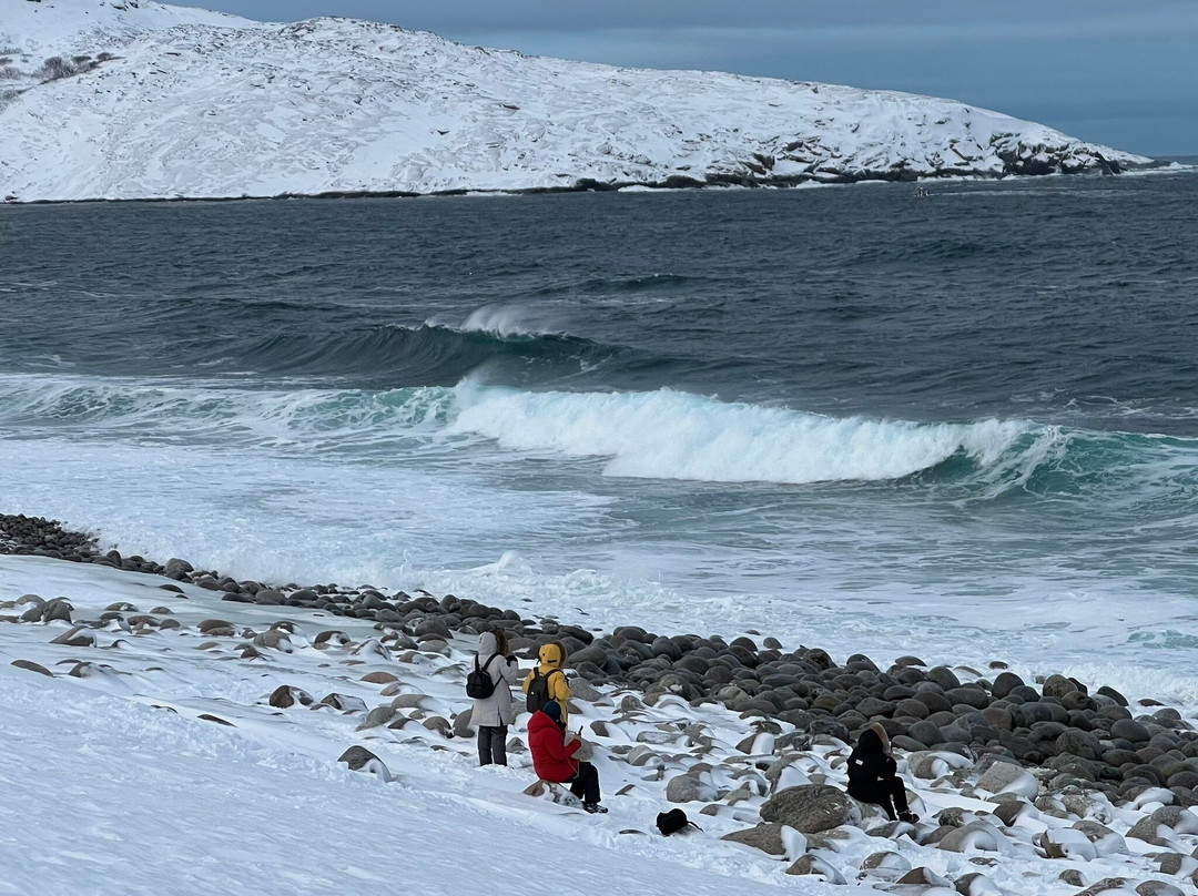Teriberskaya Guba-Teriberka必去景点