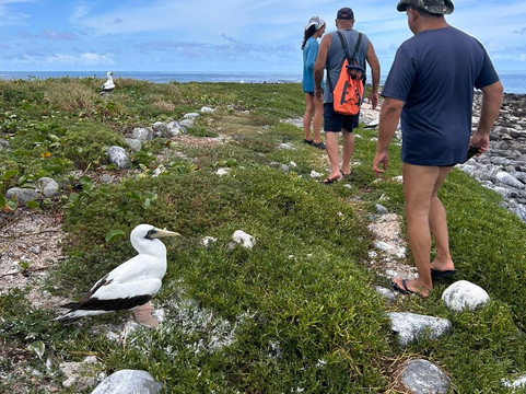Parque Nacional Marinho dos Abrolhos-Caravelas必去景点
