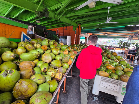 Bob Roth's New River Groves-戴维必去景点