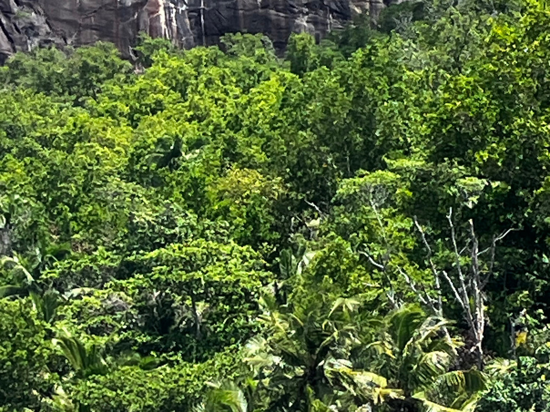 Island hopping-La Réunion必去景点