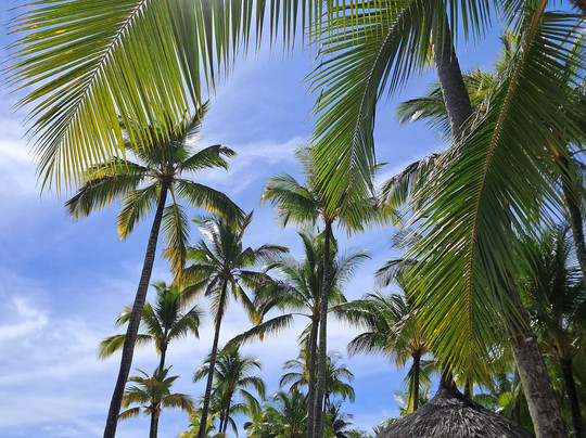 Mauricia Beachcomber Resort & Spa-大湾必去景点