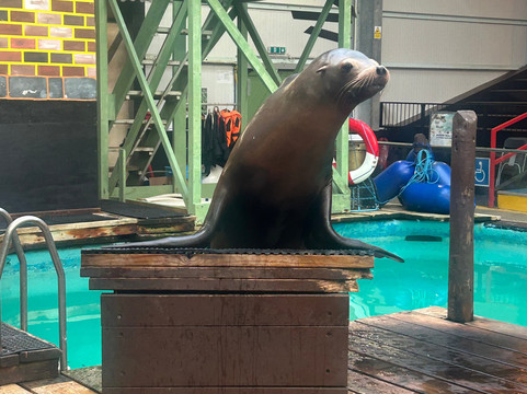 Knowsley Safari-Prescot必去景点