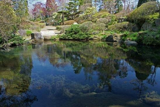 Hannoki Forest Museum / Sokonuke Pond-忍野村必去景点