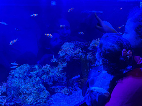 Acuario Michin Guadalajara-瓜达拉哈拉必去景点