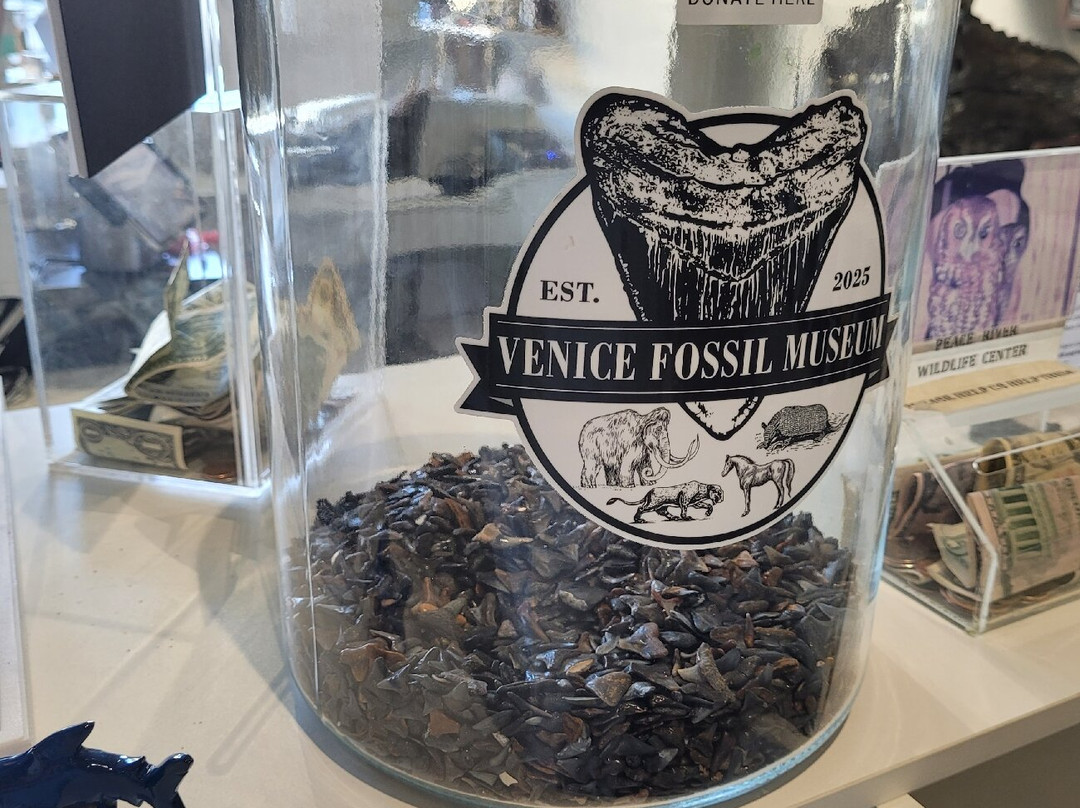 Earth Treasures - Venice, FL