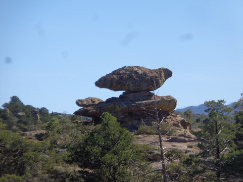 Chiricahua National Monument-Willcox必去景点