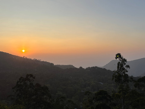 Mango Hill Yercaud主图