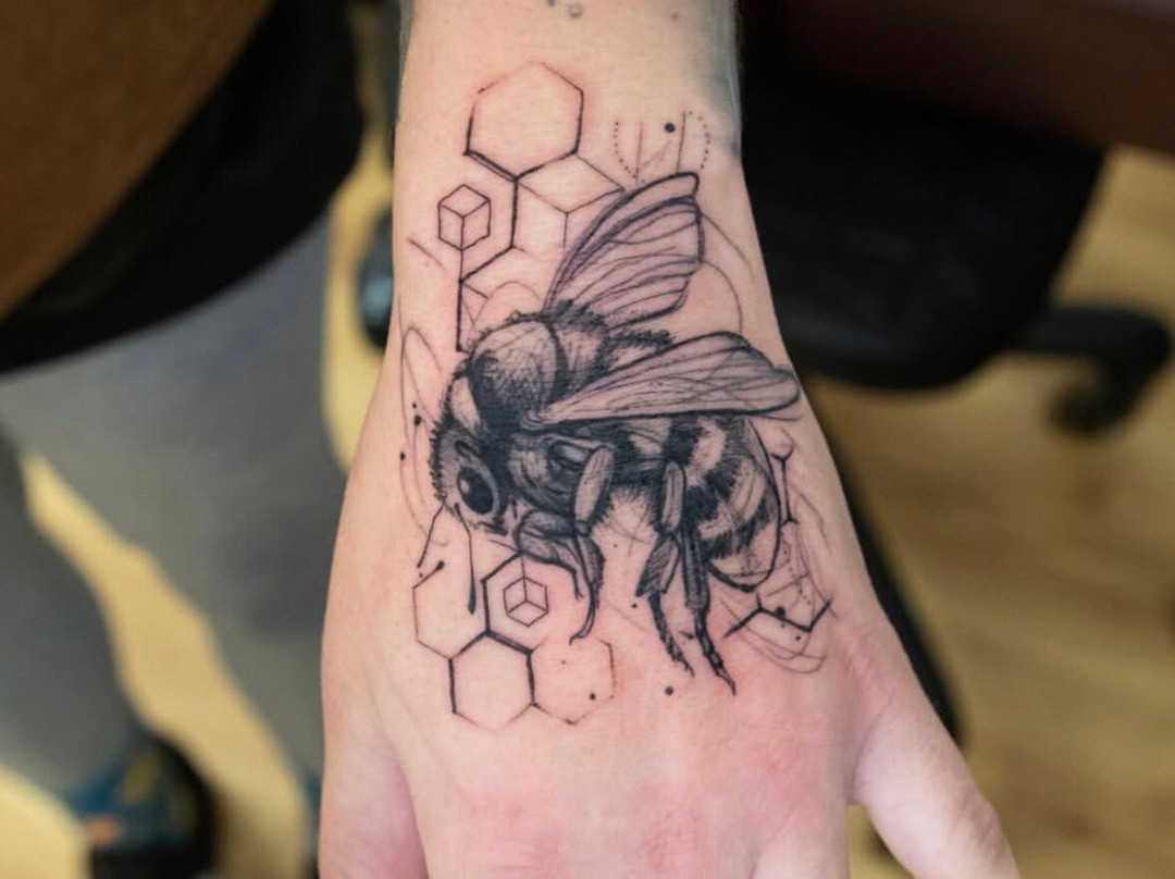 TAG Studio-索尔塔什必去景点