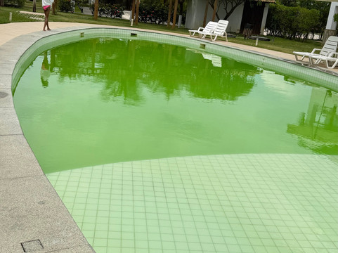 比斯树度假村主图