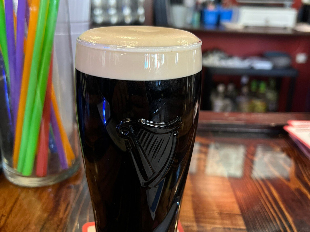 Waterhorse Irish Pub