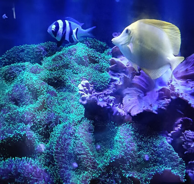 Lake District Coast Aquarium-Maryport必去景点