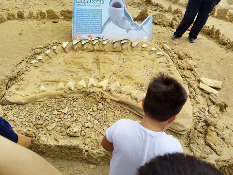 Parque Paleontologico De Caldera-Caldera必去景点