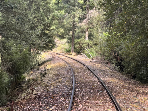 Railtrack Riders-Maydena必去景点