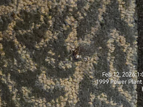 竞技场中央希尔顿花园酒店欢朋酒店主图