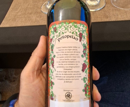 Viña Ballek-Isla de Maipo必去景点