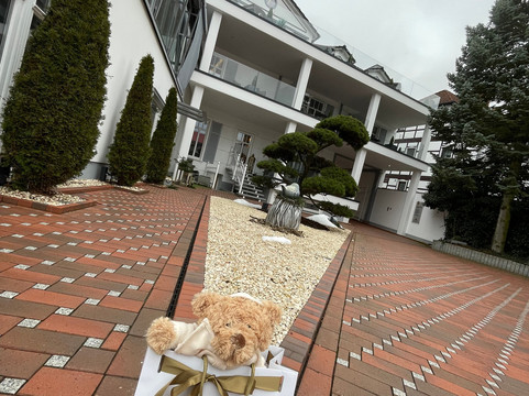 SPA别墅美容与健康度假村主图