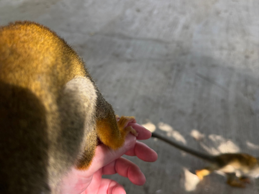 Runners Adventures-普拉塔港必去景点