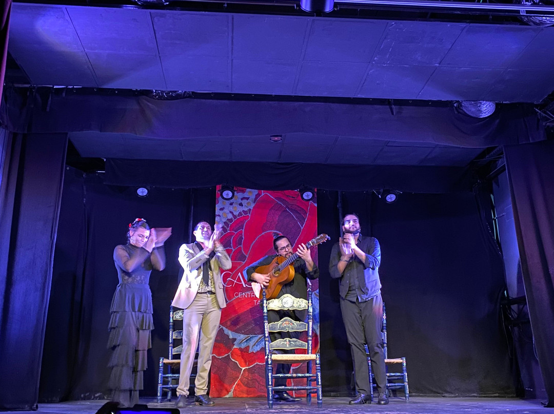 Tablao Flamenco Casa Ana Granada-格拉纳达必去景点