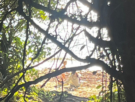 Jyane Caves-宇流麻市必去景点